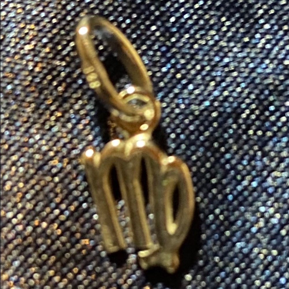 Virgo Charm